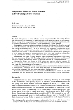 Temperature effects on flower initiation in sweet orange
