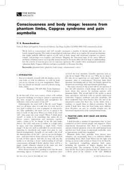 Consciousness and body image - Redwood Center for Theoretical