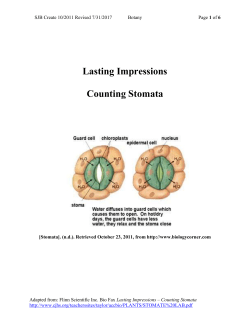 Lasting Impressions