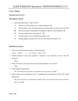 CLASS-X BIOLOGY-Questions- PHOTOSYNTHESIS