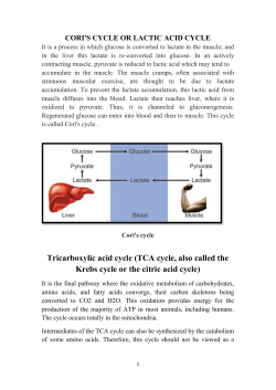 Reactions of the citric acid cycle