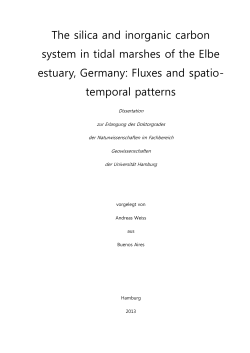 The silica and inorganic carbon system in tidal
