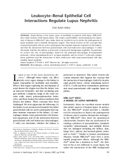 Leukocyte&ndash;Renal Epithelial Cell Interactions Regulate Lupus Nephritis