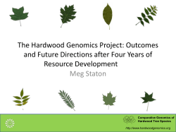 Outcomes and Future Directions after Four Years of Resource