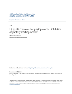 CO&acirc;&sbquo;&sbquo; effects on marine phytoplankton : inhibition of photosynthetic