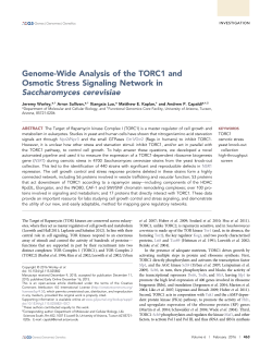 Genome-Wide Analysis of the TORC1 and Osmotic Stress Signaling