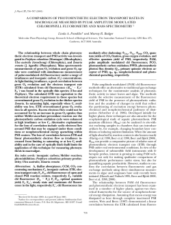 A COMPARISON OF PHOTOSYNTHETIC ELECTRON TRANSPORT
