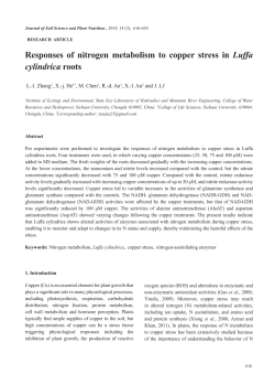 Responses of nitrogen metabolism to copper stress in