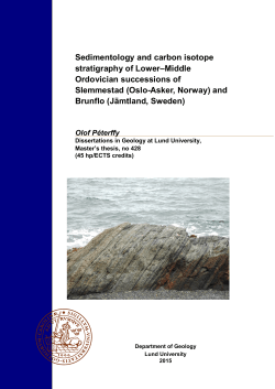Sedimentology and carbon isotope stratigraphy of Lower&ndash;Middle