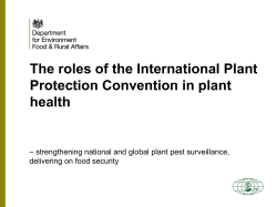 The roles of National Plant Protection Organisations, Regional