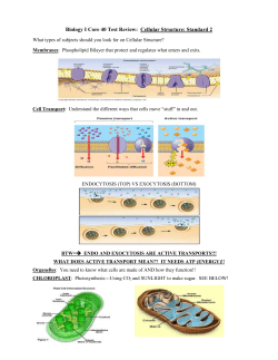 Biology I Core 40 Test Review: Cellular Structure