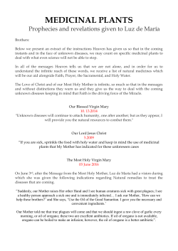 Medicinal Plants - La Voz del Cielo