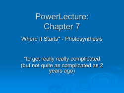 PowerLecture: Chapter 7