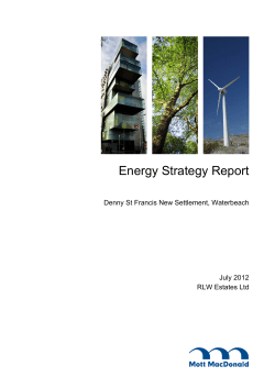 Energy Strategy Report - South Cambs District Council
