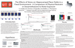 Fig. 1: Acute noise-exposure induces plasticity in CA1 place