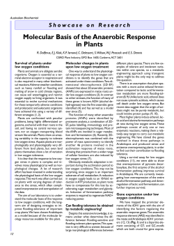 Molecular Basis of the Anaerobic Response in Plants