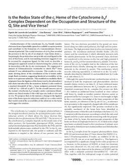 Is the Redox State of the ci Heme of the Cytochrome b6 f Complex