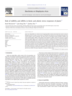 Role of miRNAs and siRNAs in biotic and abiotic stress responses of