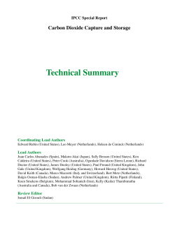 Technical Summary