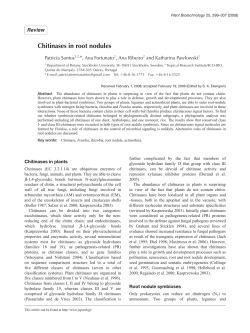 Chitinases in root nodules