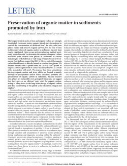 Preservation of organic matter in sediments promoted by iron