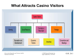 Organization Chart for Casino Operations