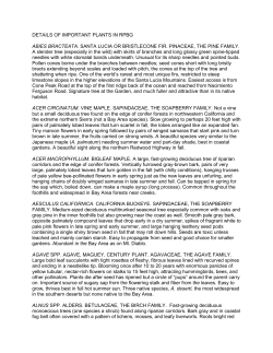 DETAILS OF IMPORTANT PLANTS IN RPBG ABIES BRACTEATA