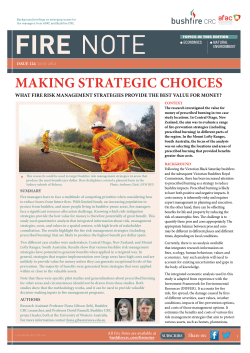 MAkIng sTRATegIc cHOIces