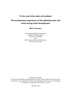 To the root of the stem cell problem The evolutionary importance of