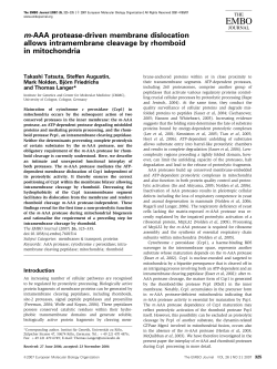 m-AAA protease-driven membrane dislocation allows