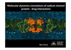 Molecular dynamics simulations of sodium channel protein