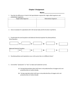 11) Chapter 3 Assignmen1