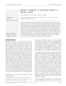 Dynamic localization of membrane proteins in