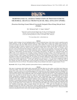 morphological characterization of photosynthetic microbial granule