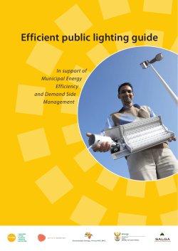 Efficient public lighting guide