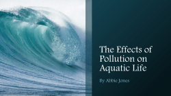 the-effects-of-pollution-on-aquatic-life-handout - Antioch Co-op