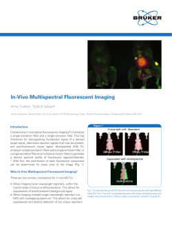 In-Vivo Multispectral Fluorescent Imaging