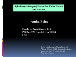 36 Belay - Extras Springer