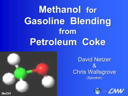 Presentation Title - Petrochemicals::David Netzer