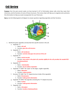 Cell Review KEY - Issaquah Connect
