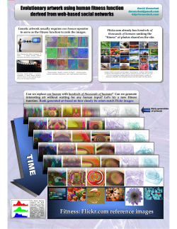 Evolutionary Synthesis of Photographic Artwork
