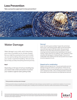 Loss Prevention Water Damage