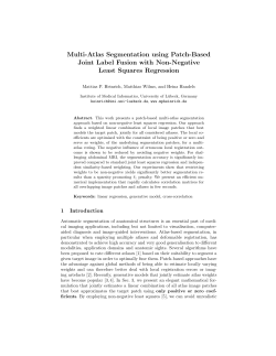 Multi-Atlas Segmentation using Patch