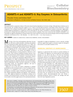 ADAMTS4 and ADAMTS5: Key enzymes in osteoarthritis