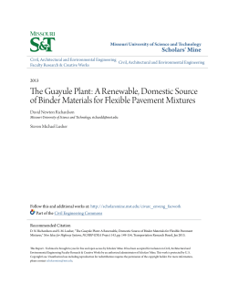The Guayule Plant: A Renewable, Domestic Source