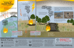 Carbon and climate change infographic