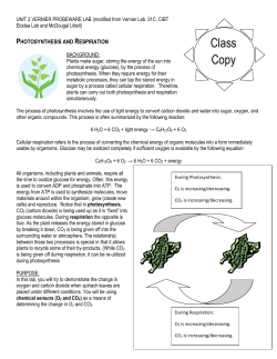 Photosynthesis and Respiration