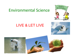 energy flow in ecosystem