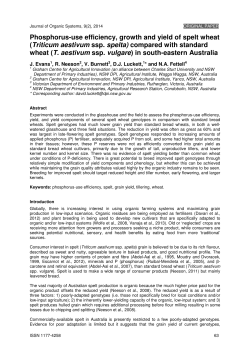 Phosphorus-use efficiency, growth and yield of spelt wheat (Triticum