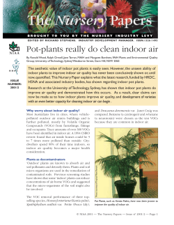 Pot-plants really do clean indoor air